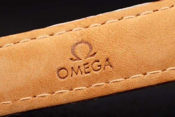 Omega Seamaster Planet High Quality Replica Watches 4443